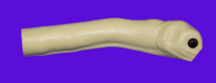 CFT132S Turkey Head & Neck with Eyes
