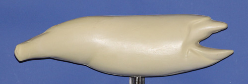 WDR22B Walleye