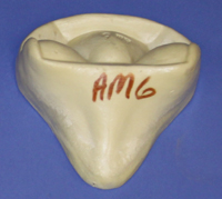 AM6 Anter Mount Form - Antelope
