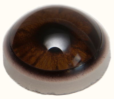 BR18WB Bear with Band 18 MM