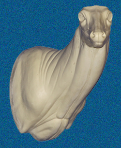C084 Semi-Sneak Buck Shoulder