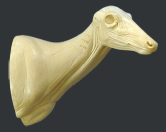 C094 Doe Shoulder Form