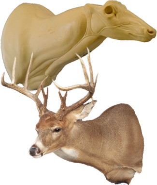 C118 Sneak Buck Shoulder