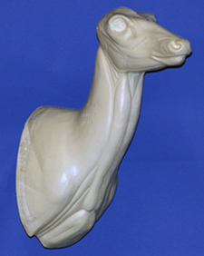 C123 Doe Shoulder Form