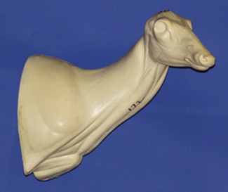 C172 Doe Shoulder Form