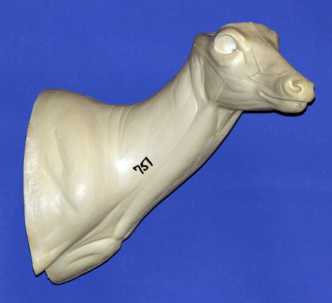 C751 Semi-Sneak Buck Shoulder