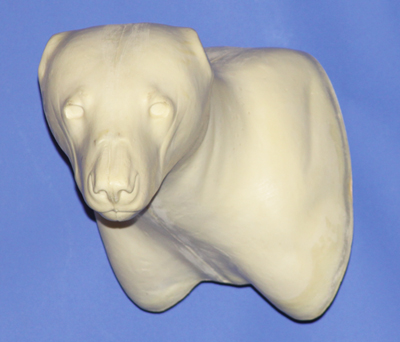 CBBR11 Black Bear - Shoulder