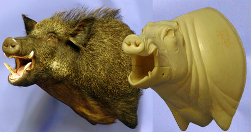 CEB24L Euro Boar - Open Mouth