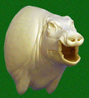 CEB26R Euro Boar - Open Mouth