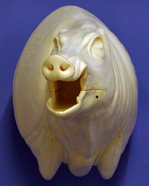 CEB28R Euro Boar - Open Mouth