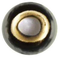 Walleye - 20MM