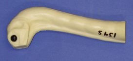CFT134S Turkey Head & Neck with Eyes