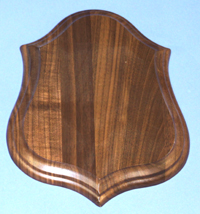 Walnut Antler Panel 8x10