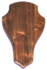 European Skull Panel - Walnut CHP814W