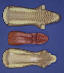 Mohr Wild Boar