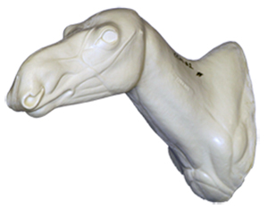 CMC1 Moose Calf Shoulder - Peter Knapton