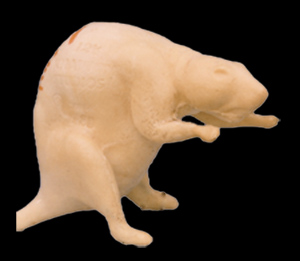 CMR1 Muskrat - Peter Knapton