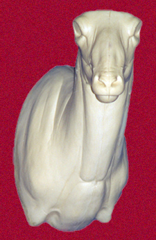 CSHP102 Sheep - (Mouflon/Corsican)