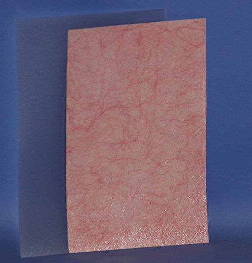 CST77 Septum Sheet by Ray Murphy