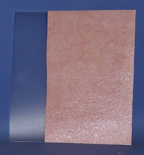 CST78 Septum Sheet by Ray Murphy
