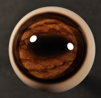 Fallow Forward Look 32 MM