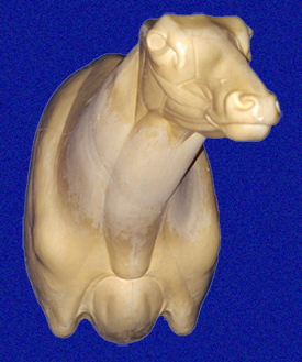 ELK102 Classics Elk Semi Sneak
