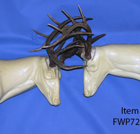 FWP7223R Wall Pedestal Locked Antlers