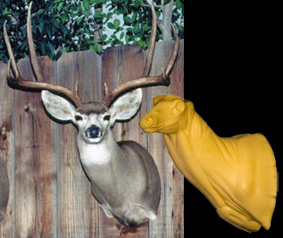 MD029 Semi Sneak Buck Shoulder