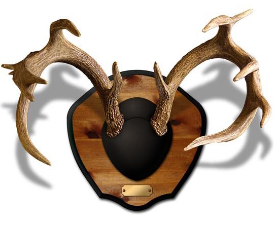 Plaque Master by Mountain Mike's