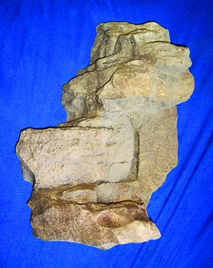 ROCK7 Finished