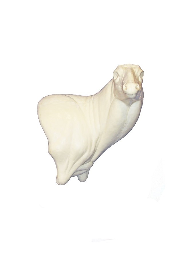 95-8027R Full Wall Pedestal Semi Sneak