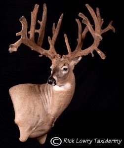 97-7323R front view_03