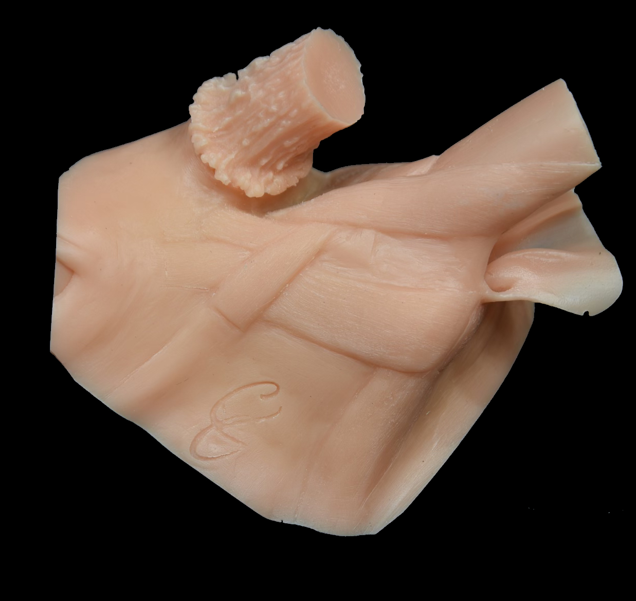 Champions Choice Whitetail Ear Butt Reference Cast - CCEBRC
