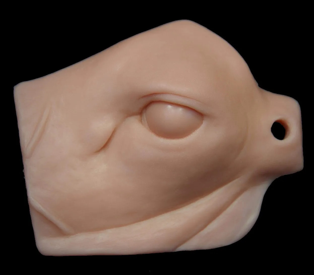 Champions Choice Whitetail Relaxed Eye Reference Cast - CCERCR
