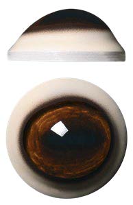 DC34L 34MM Light Color Defined Cornea
