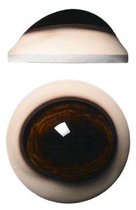 DC34M 34MM Medium Color Defined Cornea