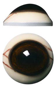 DCV30M 30MM Medium Color Defined Cornea with Veins