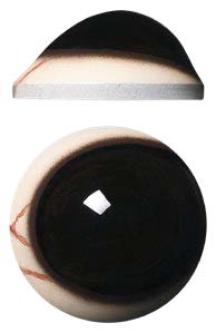 DP32D Defined Cornea Pre Rotated with Veins Dark 32 MM