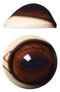 DP34L Defined Cornea Pre Rotated with Veins Light 34 MM