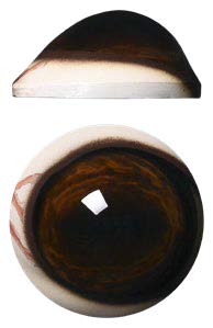 DP32M Defined Cornea Pre Rotated with Veins Medium 32 MM