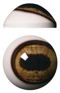 Pre Rotated Fallow 32mm Payer - PR32F