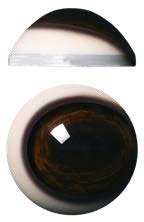 PR32M 32MM Medium Color Pre Rotated