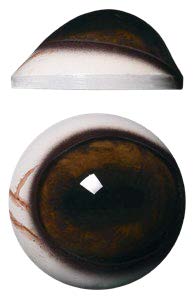 DC Prime Elk Eyes 34mm - DP34ELK