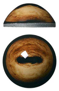 Unbanded Mouflon 30mm Payer UB30MF