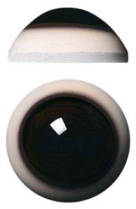 WB30D White Banded 30MM Dark