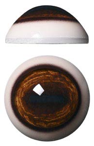 WB30L White Banded 30MM Light