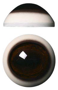 WB32M White Banded 32MM Medium