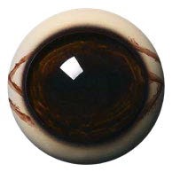 WBV30M White Banded with Veins 30 MM Medium