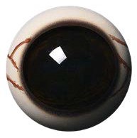 WBV30D White Banded with Veins 30 MM Dark