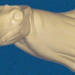 040N Buck Neck Forms